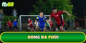 Tin Tức - FB88 nhà cái - SLOTTRAIL