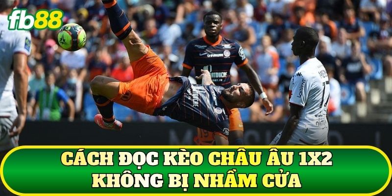 Cách Đọc Kèo Tại FB88: Hướng Dẫn Chọn Tỷ Lệ Kèo Bóng Đá - SLOTTRAIL