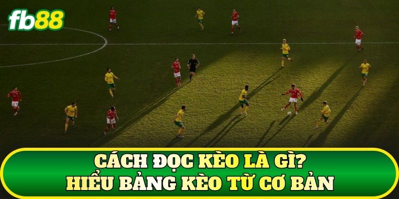 Cách Đọc Kèo Tại FB88: Hướng Dẫn Chọn Tỷ Lệ Kèo Bóng Đá - SLOTTRAIL