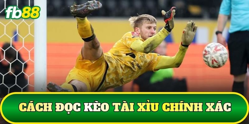 Cách Đọc Kèo Tại FB88: Hướng Dẫn Chọn Tỷ Lệ Kèo Bóng Đá - SLOTTRAIL